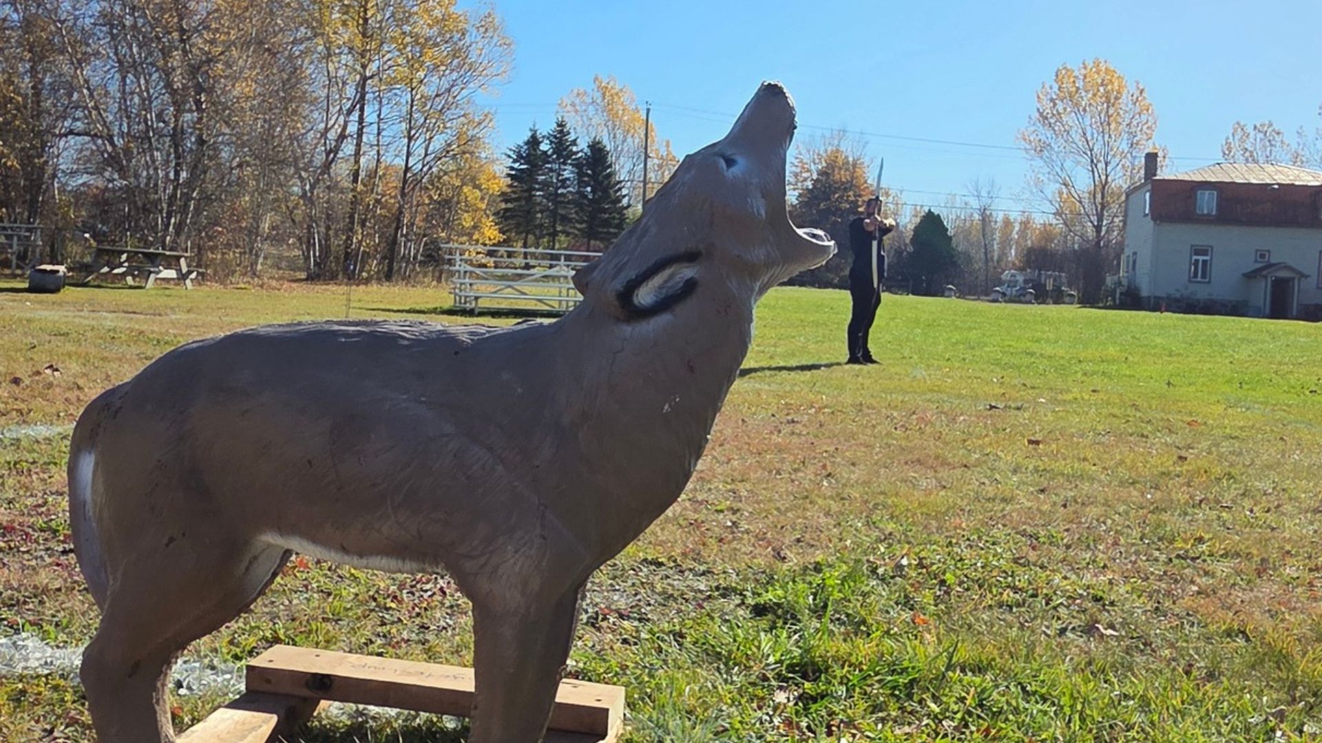 Chasse à l'Arc loup en 3D cible de tir à l'arc